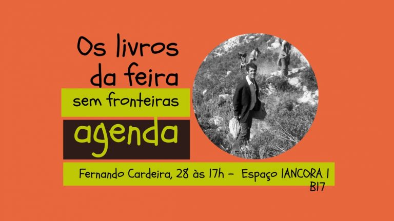 CARDEIRA 17