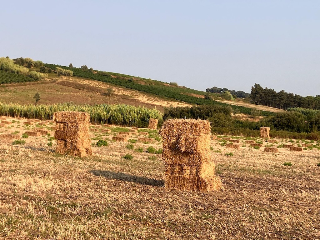 WhatsApp Image 2025-08-22 at 18.15.06