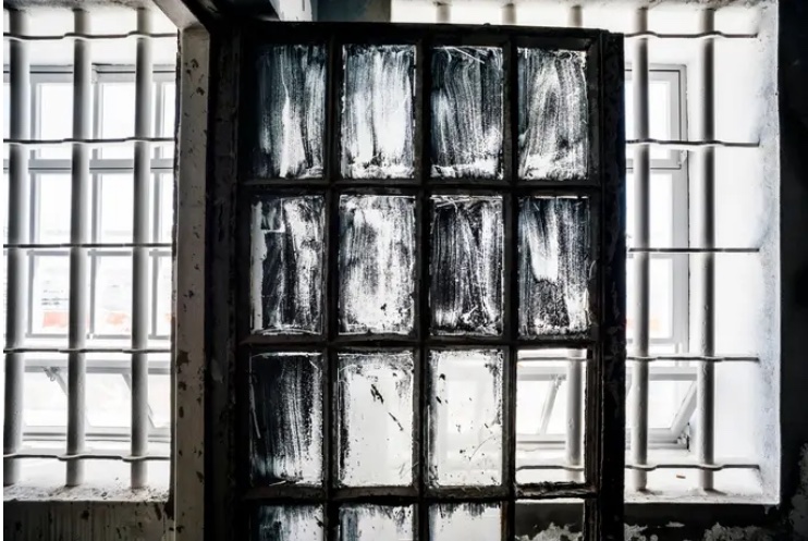 antonio pedro ferreira