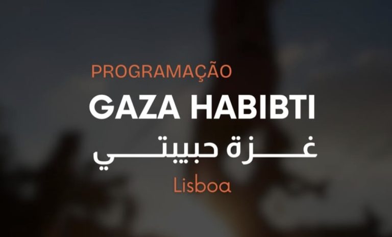 gaza3