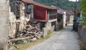 cambedo foto