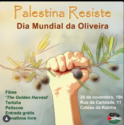 palestina oiveira