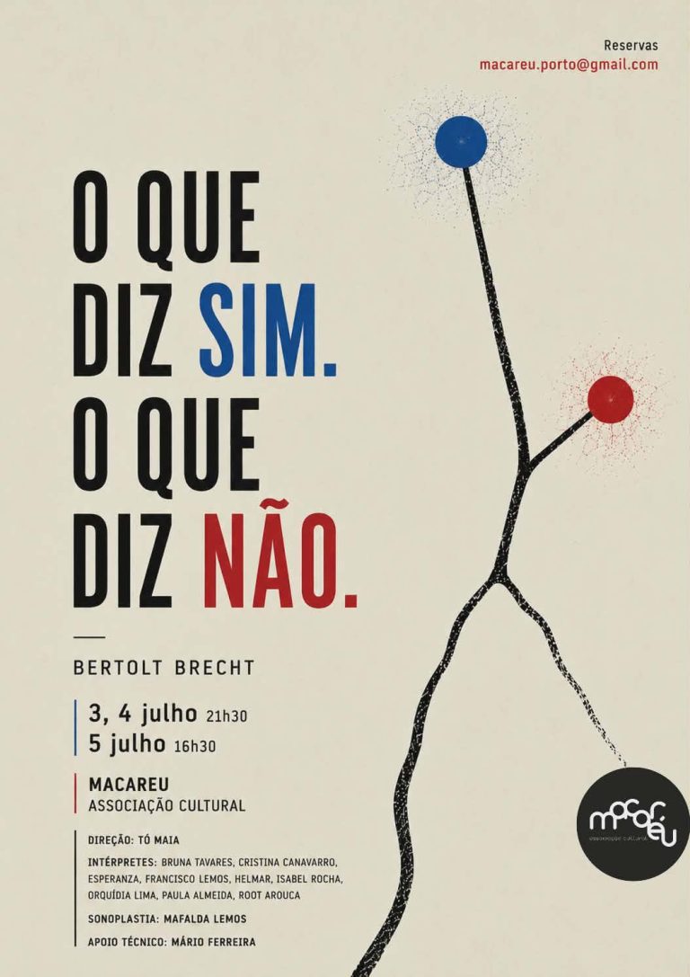 o que diz sim